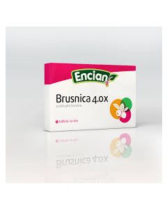 BRUSNICA 4.0 X A 16                     